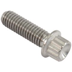 Titanium Bolt