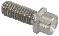 Titanium Bolt
